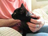 Testimonio sobre CatGenie de Joe B., New Jersey