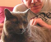 Testimonio sobre CatGenie de Wayne Z. Cherry Hill, NJ
